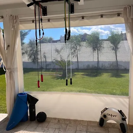 Miami * 维耶斯泰